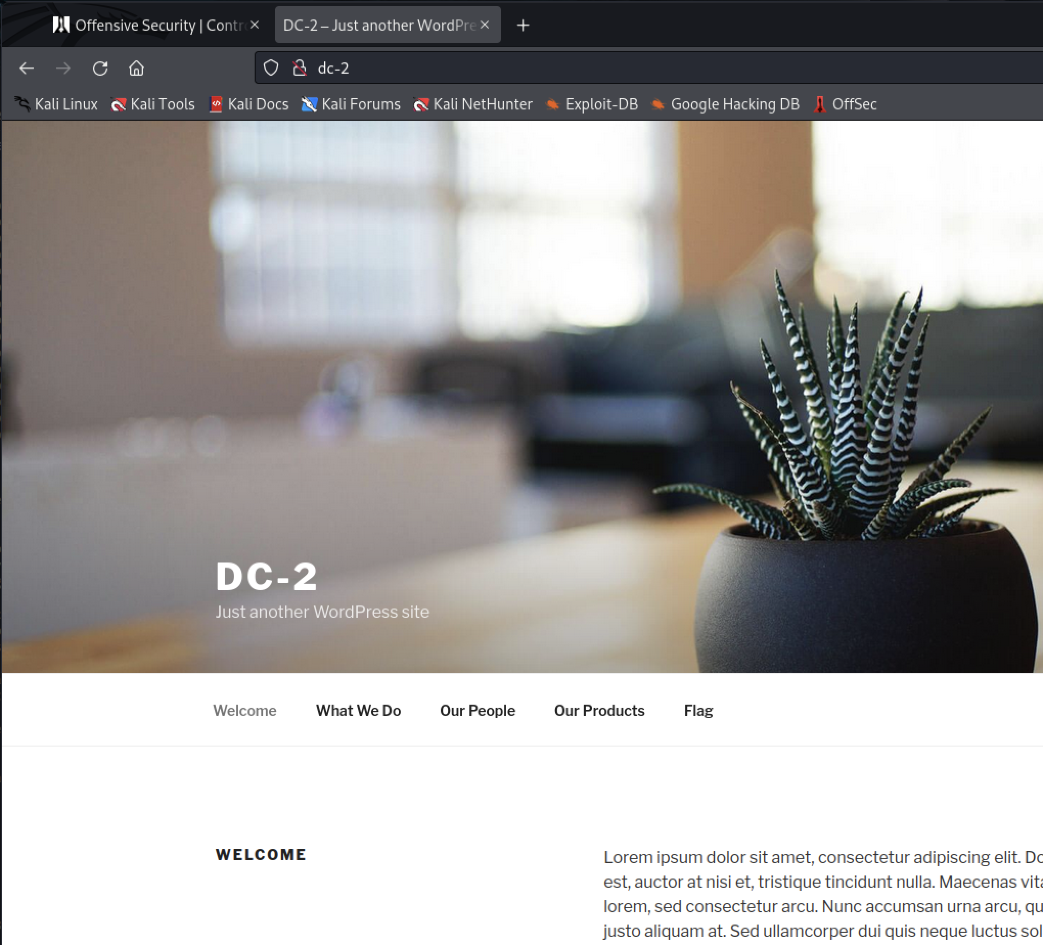 WordPress Site